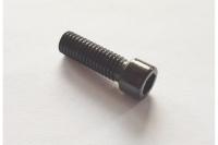 Screw for front foot of pivot