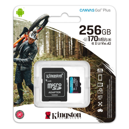 Kingston 256 GB microSDXC Canvas Go Plus 1 card img 0