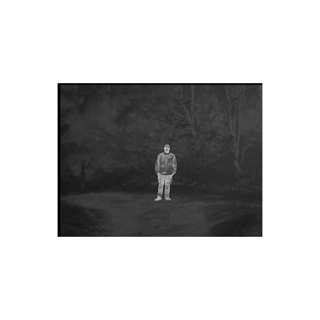 DIYCON VisIR 335 Термальный монокуляр img 5