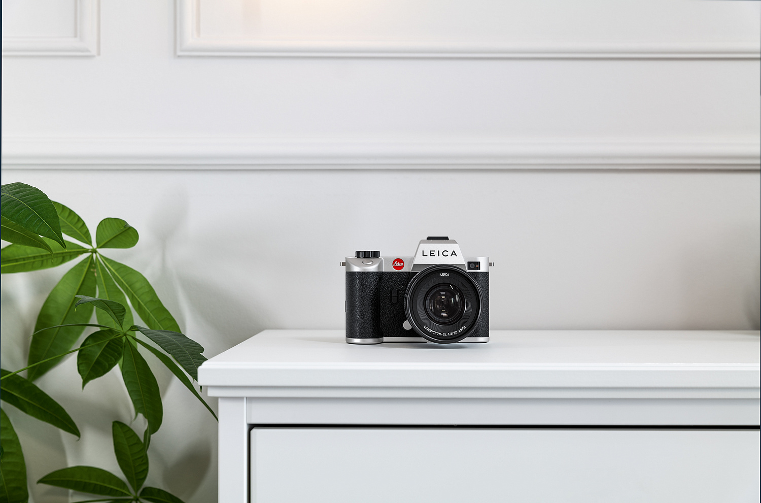 Leica SL2 silver anodized